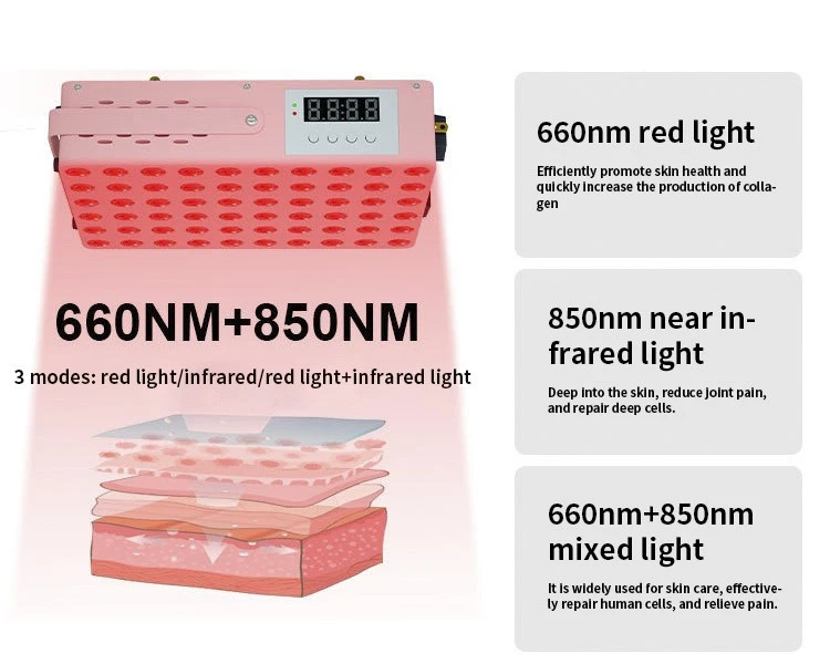 Red Light 43 Red Light 43